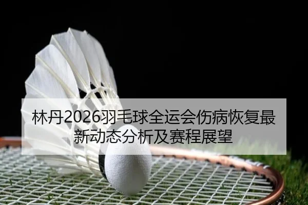 lin-dan-yu-mao-qiu-quan-yun-hui-shang-bing-hui-fu-zui-xin-dong-tai-fen-xi-ji-sai-cheng-zhan-wang-2-481.jpg